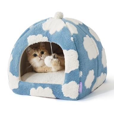 cat cave