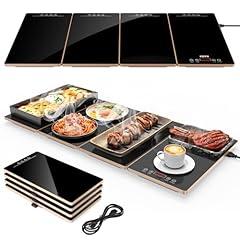 FEPPO Electric Warming Tray with Timer