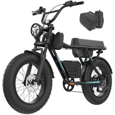 adult electric bicycle