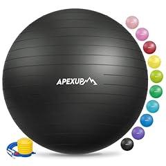 APEXUP XL Yoga Stability Ball