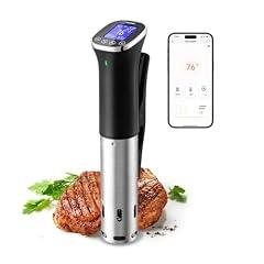 Inkbird WIFI Sous Vide Cooker ISV-300W