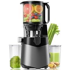 LUIXXN Cold Press Juicer 350W