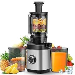 PSIIDAN Cold Press Juicer with Wide Chute