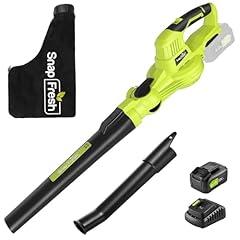 SnapFresh 2-in-1 Cordless Blower & Vacuum