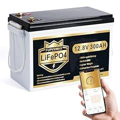 PUPVWMHB 12V 300Ah Mini Lithium Battery