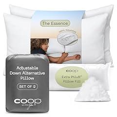 Coop Home Goods Essence Pillow Set, Queen