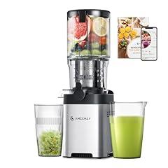 AMZCHEF Cold Press Juicer Silver