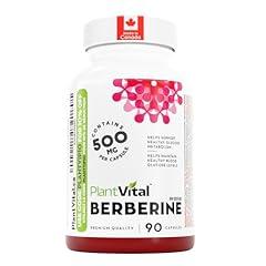 PlantVital Berberine 1000mg Supplement