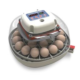 egg incubator