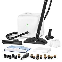 Dupray Neat Steam Cleaner with Accessory Kit