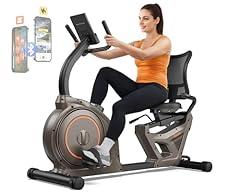 Niceday Recumbent Exercise Bike 400LBS Capacity