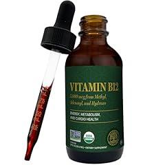 Global Healing Vitamin B12 Sublingual Liquid