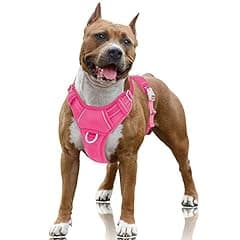 BARKBAY No Pull Dog Harness Large