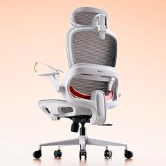 SIHOO B100 Ergonomic Mesh Office Chair