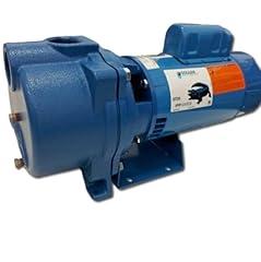 Goulds GT20 Irrigation Centrifugal Pump, 2 HP