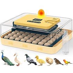 Innhom 56-Egg Incubator