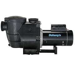 Doheny's Inground Pool Pro Pump 1.5 HP