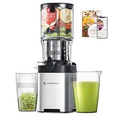 AMZCHEF Cold Press Juicer with Large Chute