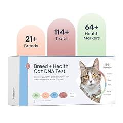 Basepaws Cat DNA Test Kit - Breed, Health, Dental Analysis