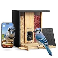 NETVUE Birdfy Smart Bird Feeder Camera