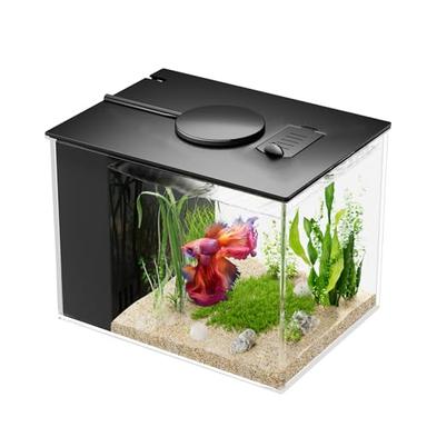 betta fish kit