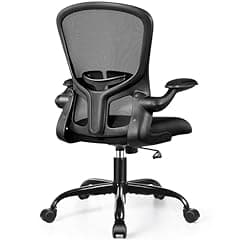 FelixKing Ergonomic Office Chair with Flip-up Armrests