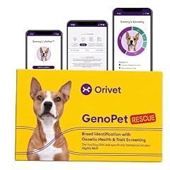 Orivet Dog DNA Test Kit