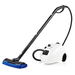 Dupray HOME Steam Cleaner for Disinfection and Cleaning