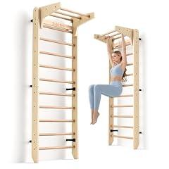 RokePro Multi-Function Wall Mounted Gymnastics Ladder