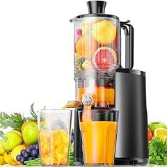 Euhomy Cold Press Juicer 5.5" XL Chute