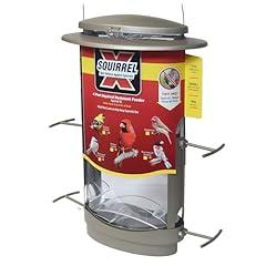 More Birds X-1 Squirrel-Proof Feeder