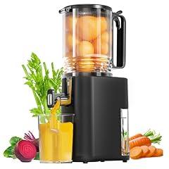 YOYDS Cold Press Juicer