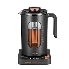 INTASTING Glass Electric Kettle with Infuser