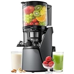EanOruus 3-in-1 Cold Press Juicer