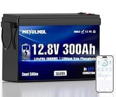 MEYULMOL 12V 300Ah LiFePO4 Lithium Battery