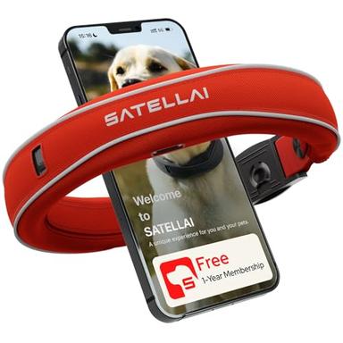 Gps dog fence