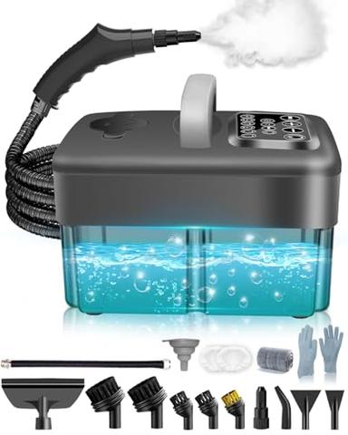 steam cleaner for cars
