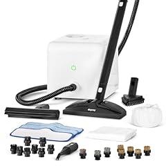 Dupray Neat Steam Cleaner with Accessory Kit