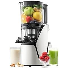 EanOruus 3-in-1 Cold Press Juicer