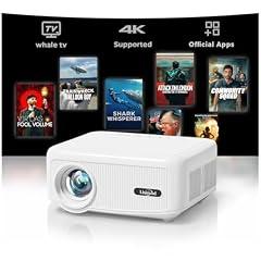 Lisowod L02 Smart Outdoor Projector