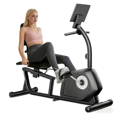 recumbent exercise bikes