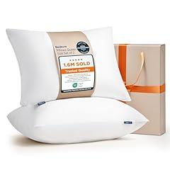 Bedsure Queen Size Pillows Set