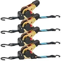 Digank Retractable Ratchet Straps 1" x 10'