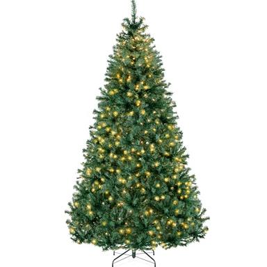 christmas tree on sale