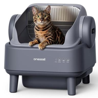 automatic cat box