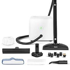 Dupray Neat Steam Cleaner Multipurpose Portable Steamer