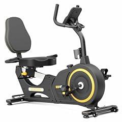 VANSWE Recumbent Exercise Bike with Bluetooth