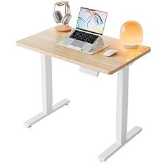 HUANUO Electric Adjustable Height Standing Desk