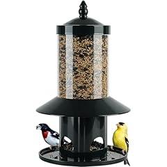 Dreamdrawer Squirrel Proof Bird Feeder