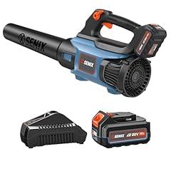 SENIX BLAX2-M3 Cordless Leaf Blower Kit